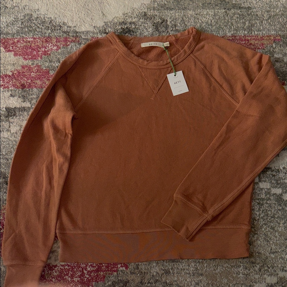 Aerie Rust Crewneck Sweater oversized